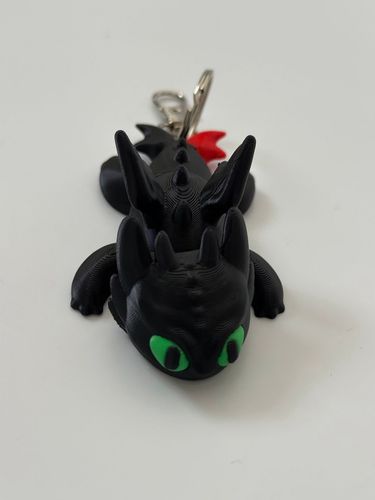 Toothless the Night Fury and the Light Fury - keychain