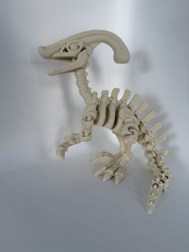 Parasaurolophus Szkielet