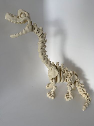 Brachiozaur Szkielet