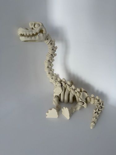 Brachiozaur Szkielet