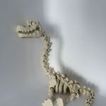 Brachiozaur Szkielet thumbnail 3