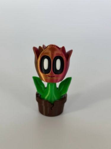 Kwiat Tulipana