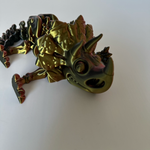 Dinozaur szkielet Triceratops thumbnail 4