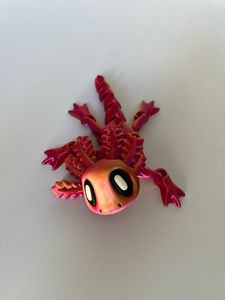 Czerwony z magnesom