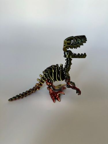 Dinozaur szkielet Raptor