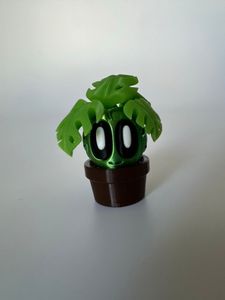 Roślinka Monstera